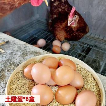 【8盒含運優惠組❺】<br>明川葉黃素紅仁土雞蛋*8盒