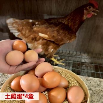 【4盒含運優惠組❷】<br>明川葉黃素紅仁土雞蛋*4盒