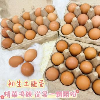 【預購｜出貨通知】<br>初生土雞蛋
