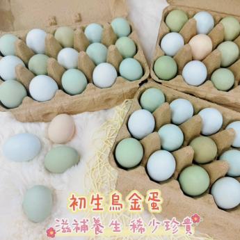 【預購｜出貨通知】<br>初生烏金蛋