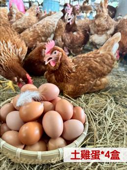 【捐贈含運組❶】明川葉黃素紅仁土雞蛋*4盒